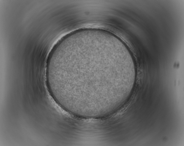 X0000114680992200911121452