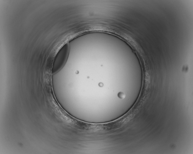 X0000114680993200911121452