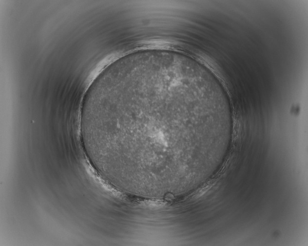 X0000114680994200911121452