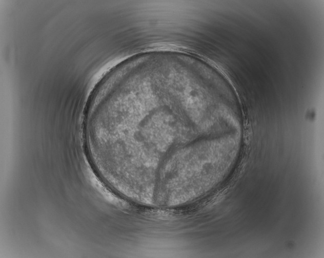 X0000114680995200911121452
