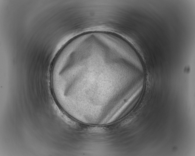 X0000114680998200911121452