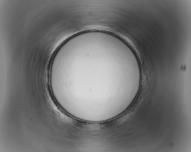 X0000114680999200911121452