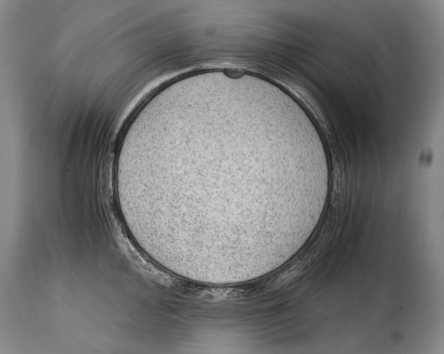 X0000114681000200911121452