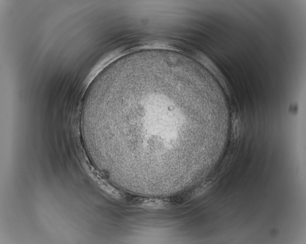 X0000114681002200911121452