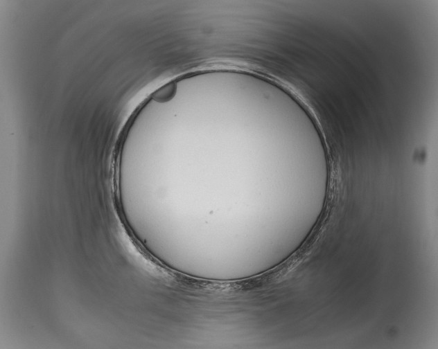 X0000114681003200911121452
