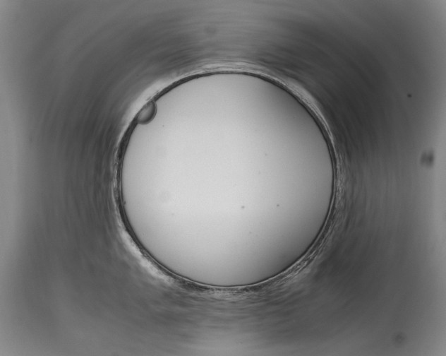 X0000114681005200911121452