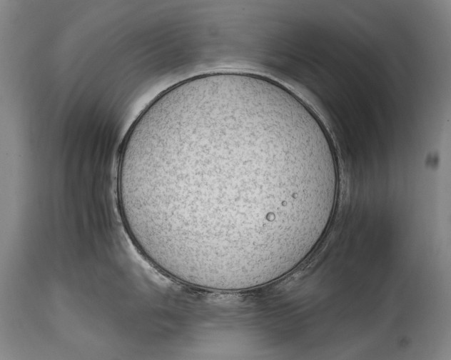 X0000114681006200911121452