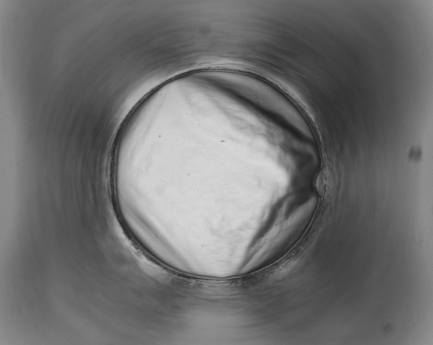 X0000114681007200911121452