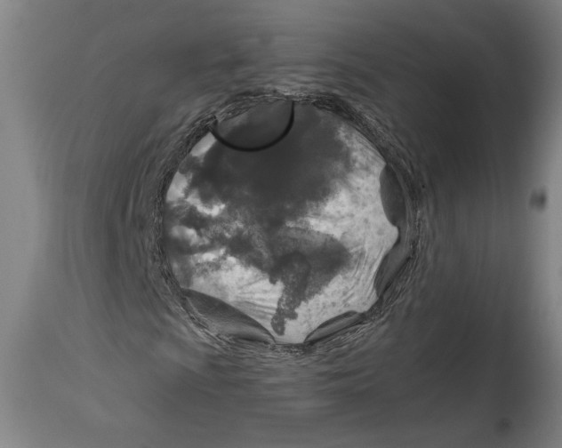 X0000114681009200911121451