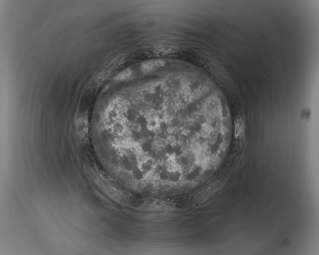 X0000114681011200911121451