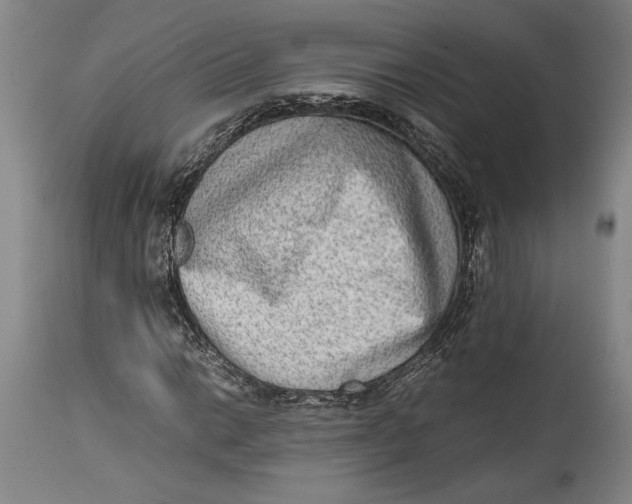 X0000114681014200911121451