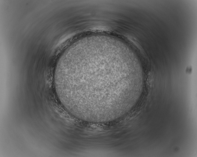 X0000114681015200911121451