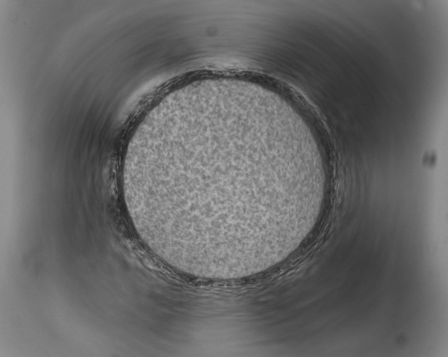 X0000114681016200911121451