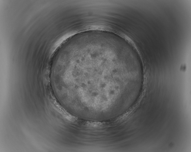 X0000114681019200911121451