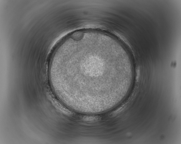 X0000114681021200911121451
