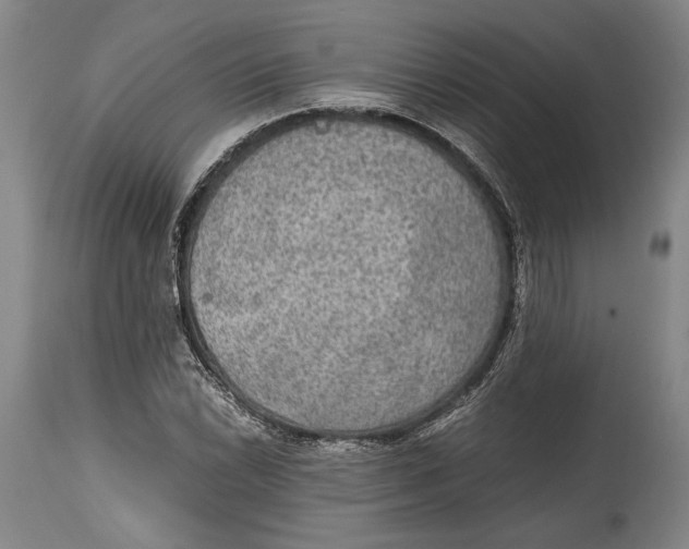 X0000114681022200911121451