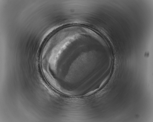 X0000114681024200911121452