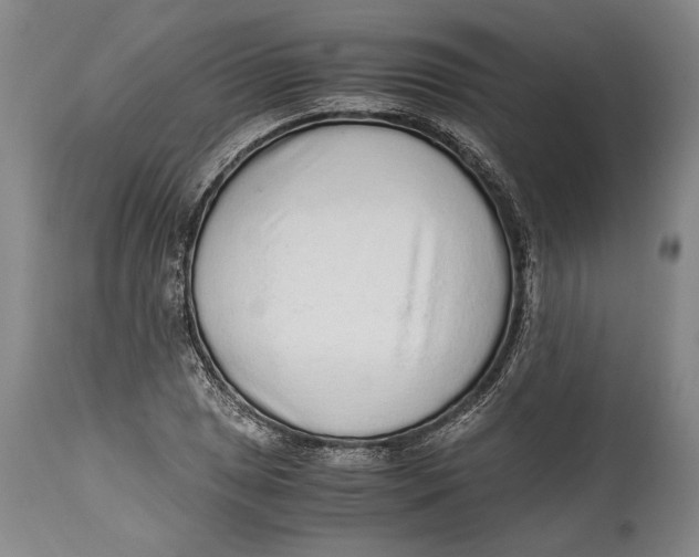 X0000114681025200911121452