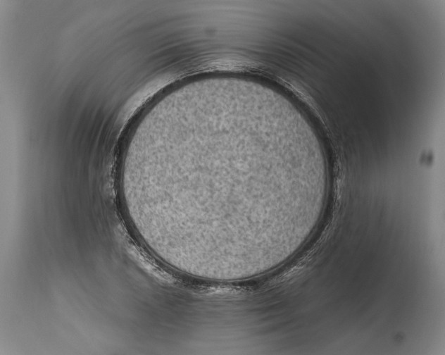 X0000114681026200911121452