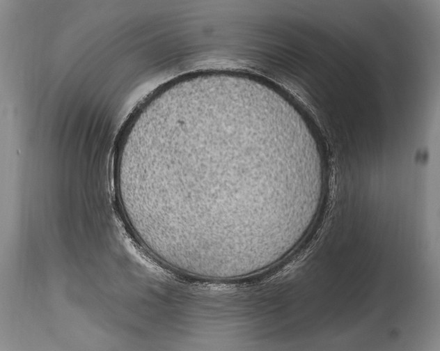 X0000114681030200911121452