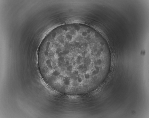 X0000114681031200911121452