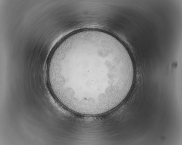 X0000114681032200911121452
