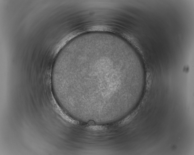 X0000114681033200911121452