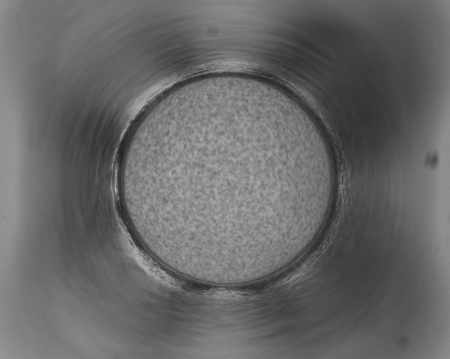 X0000114681034200911121452