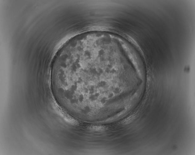 X0000114681035200911121452