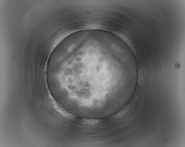 X0000114681039200911121452