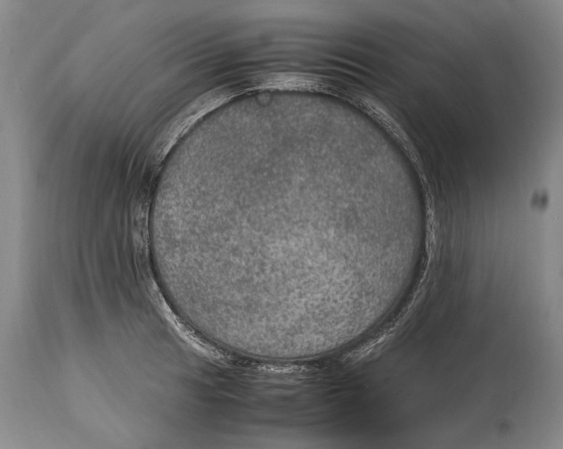 X0000114681041200911121452