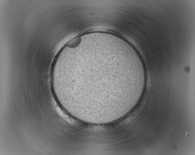 X0000114681042200911121452