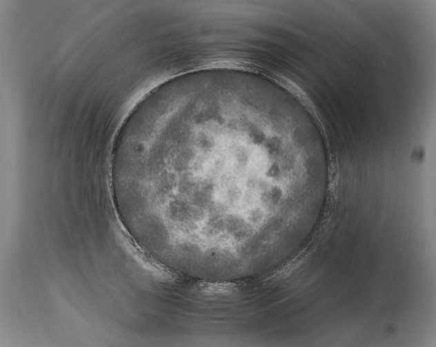 X0000114681043200911121452