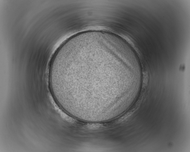 X0000114681046200911121452