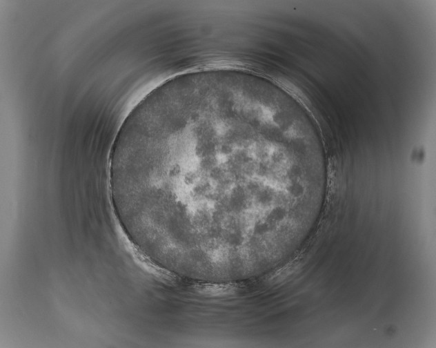 X0000114681047200911121452