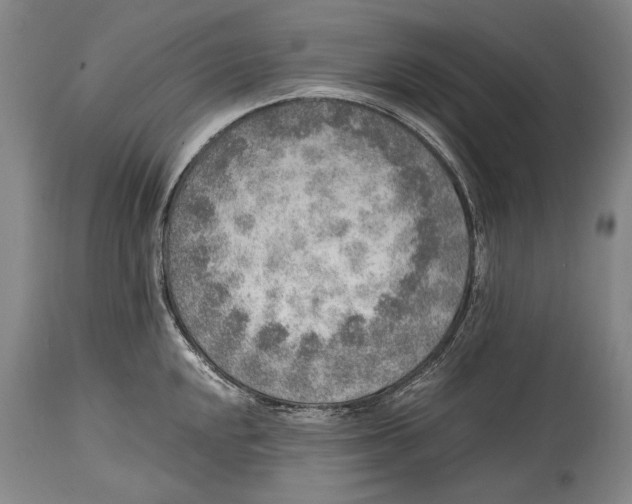 X0000114681048200911121452