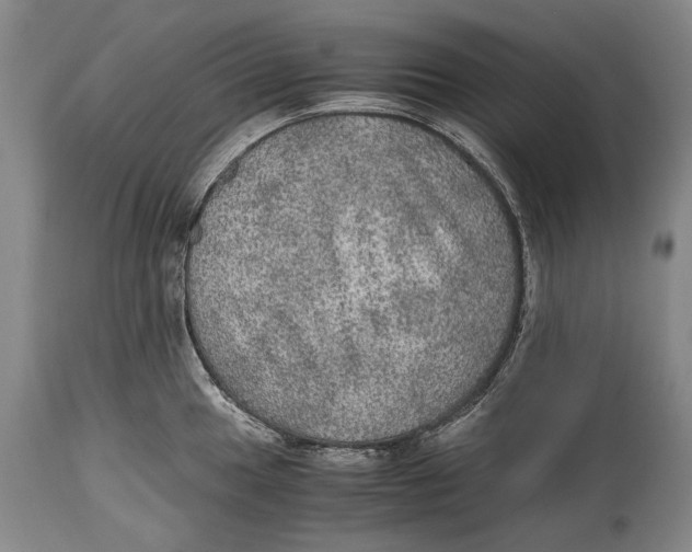 X0000114681049200911121452