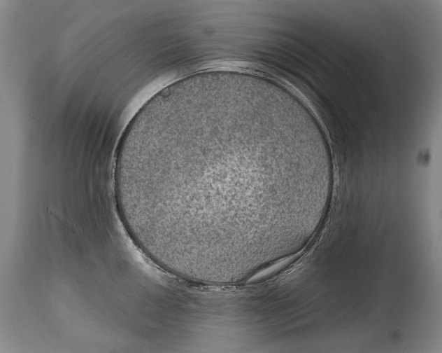 X0000114681050200911121452