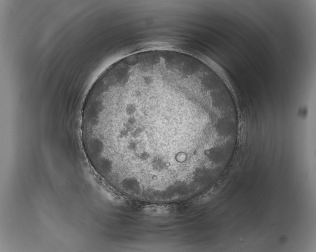 X0000114681051200911121452