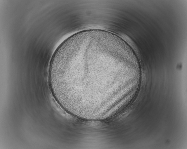 X0000114681052200911121452