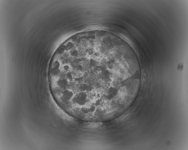 X0000114681055200911121452