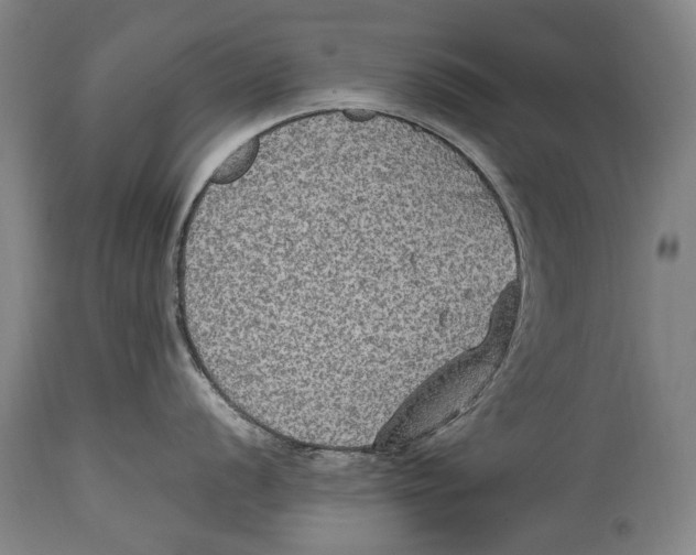 X0000114681056200911121452
