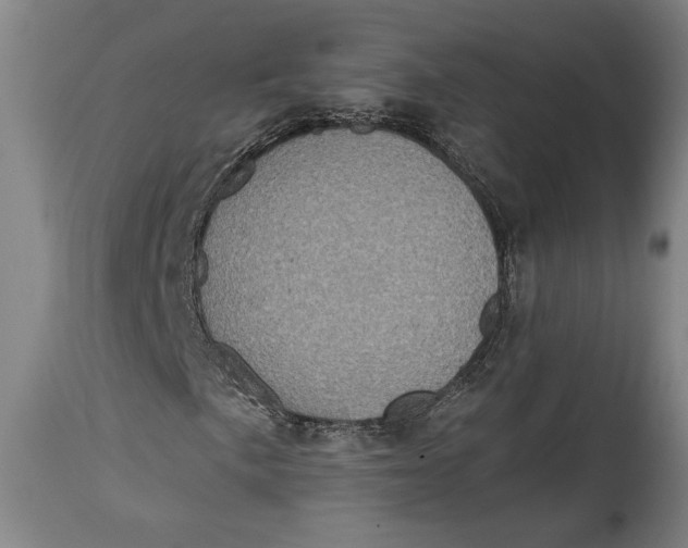 X0000114681057200911121451