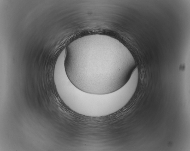 X0000114681060200911121451