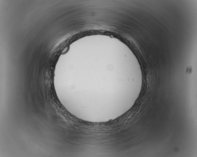 X0000114681064200911121451