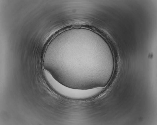 X0000114681065200911121451