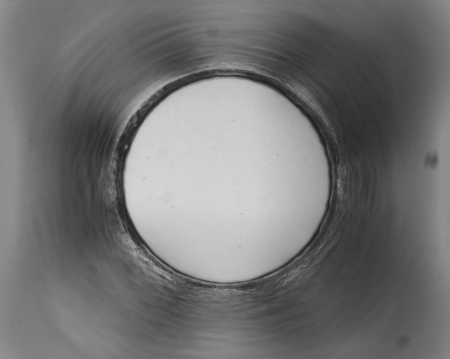 X0000114681068200911121451