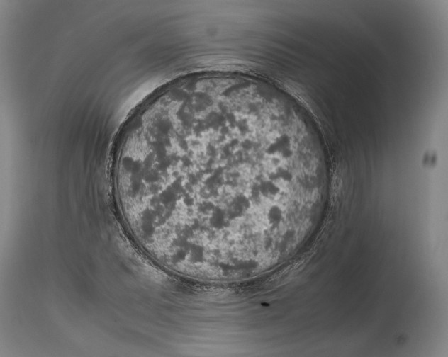 X0000114681071200911121451