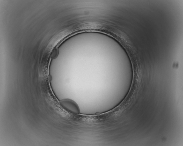 X0000114681073200911121451