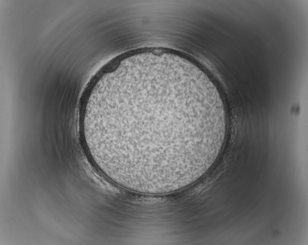 X0000114681076200911121451